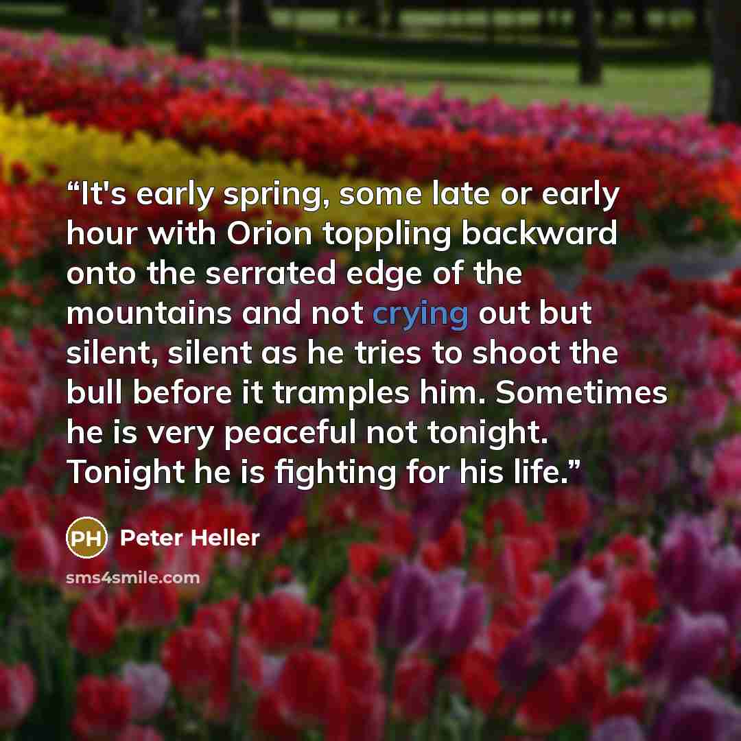 “It's early spring, some late or early hour with Orion toppling backward onto the serrated edge of the mountains and not crying out but silent, silent as he tries to shoot the bull before it tramples him. Sometimes he is very peaceful not tonight. Tonight he is fighting for his life.” quote by Peter Heller
