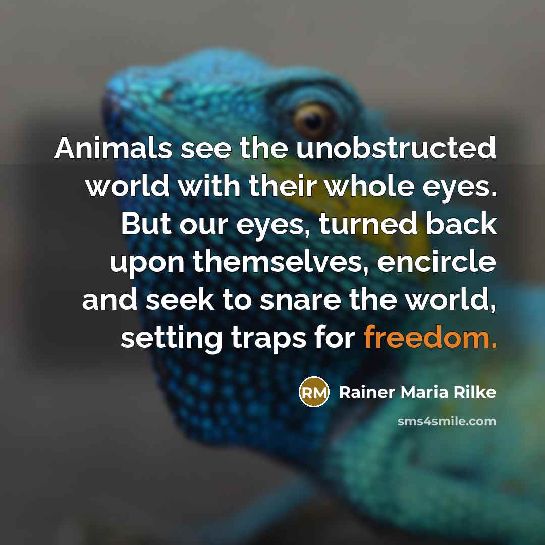 “Animals see the unobstructed world with their whole eyes. But…” quote by Rainer Maria Rilke