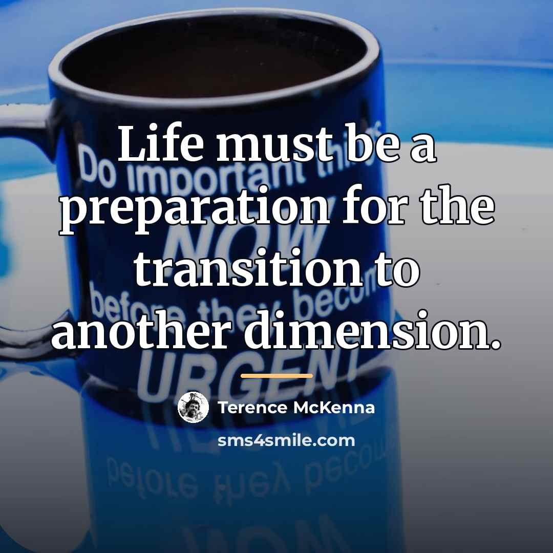 “Life must be a preparation for the transition to another…” quote by Terence McKenna