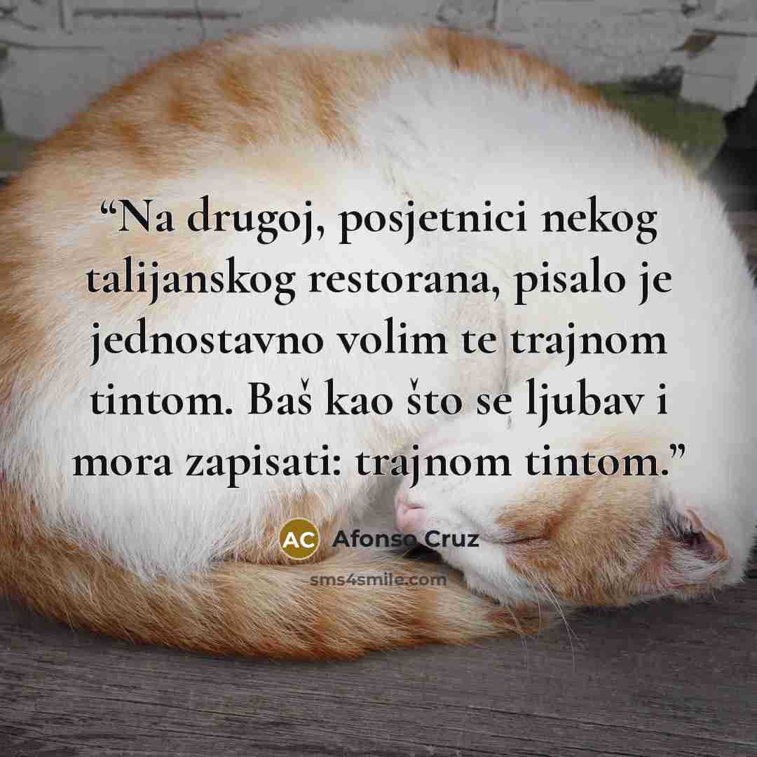 “Na drugoj, posjetnici nekog talijanskog restorana, pisalo je jednostavno volim te trajnom tintom. Baš kao što se ljubav i mora zapisati: trajnom tintom.” quote by Afonso Cruz