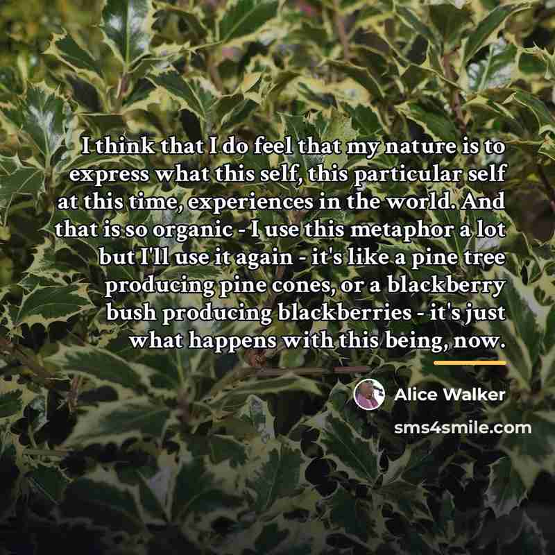 “I think that I do feel that my nature is…” quote by Alice Walker