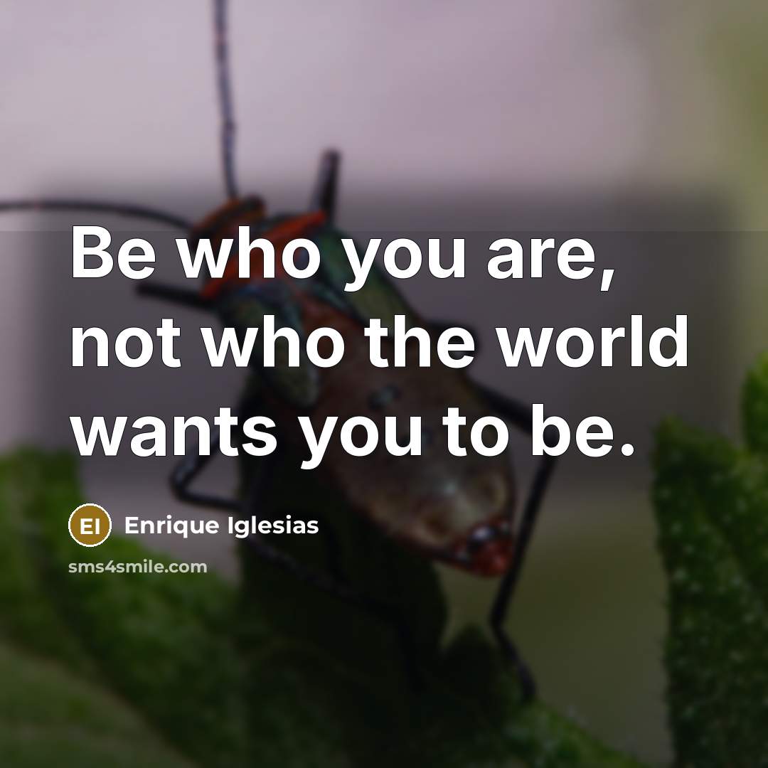 “Be who you are, not who the world wants you…” quote by Enrique Iglesias