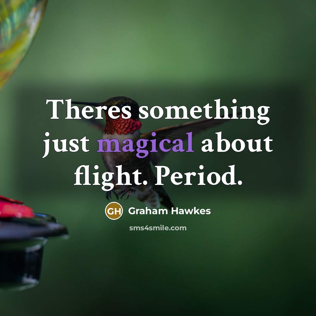 “Theres something just magical about flight. Period.…” quote by Graham Hawkes