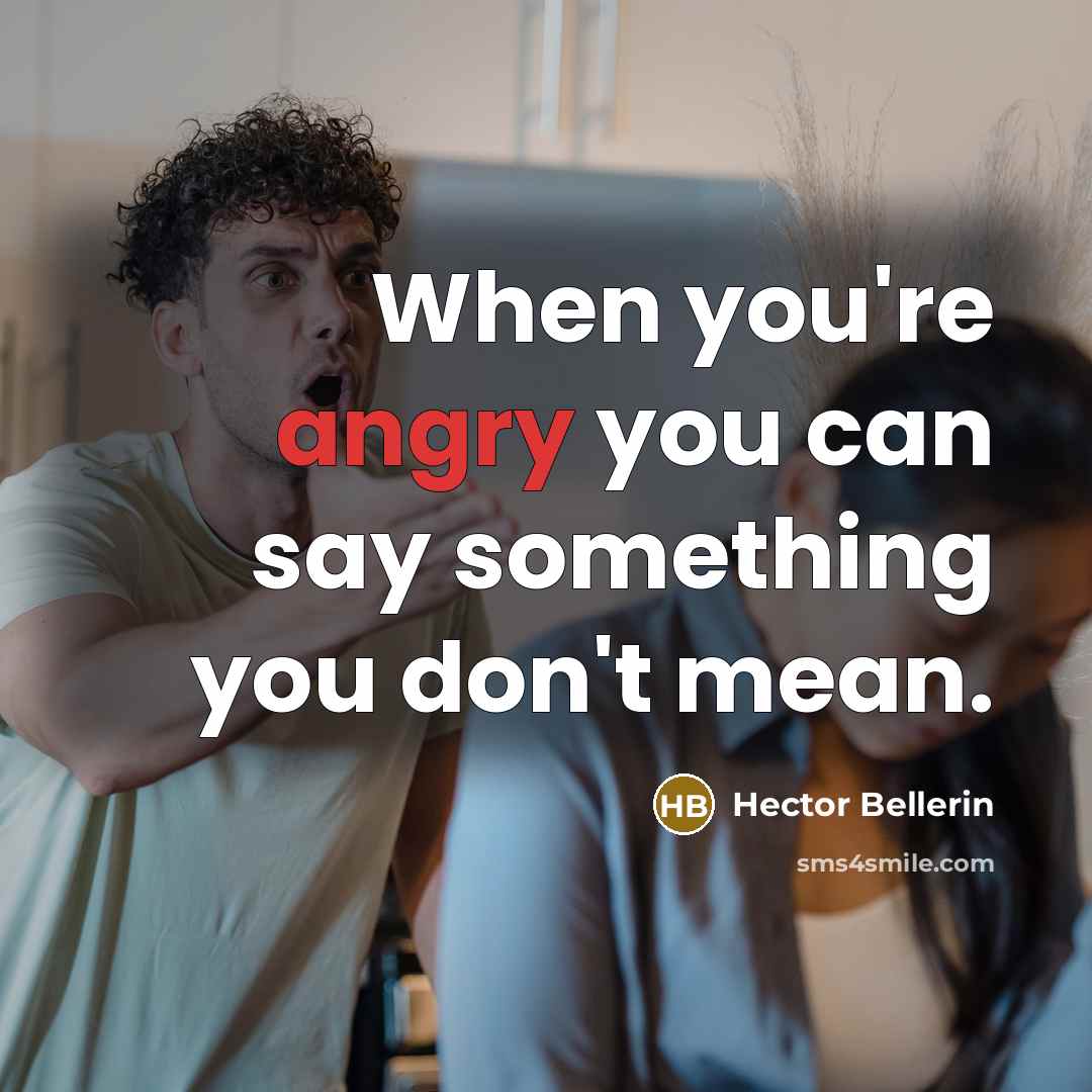 “When you're angry you can say something you don't mean.…” quote by Hector Bellerin