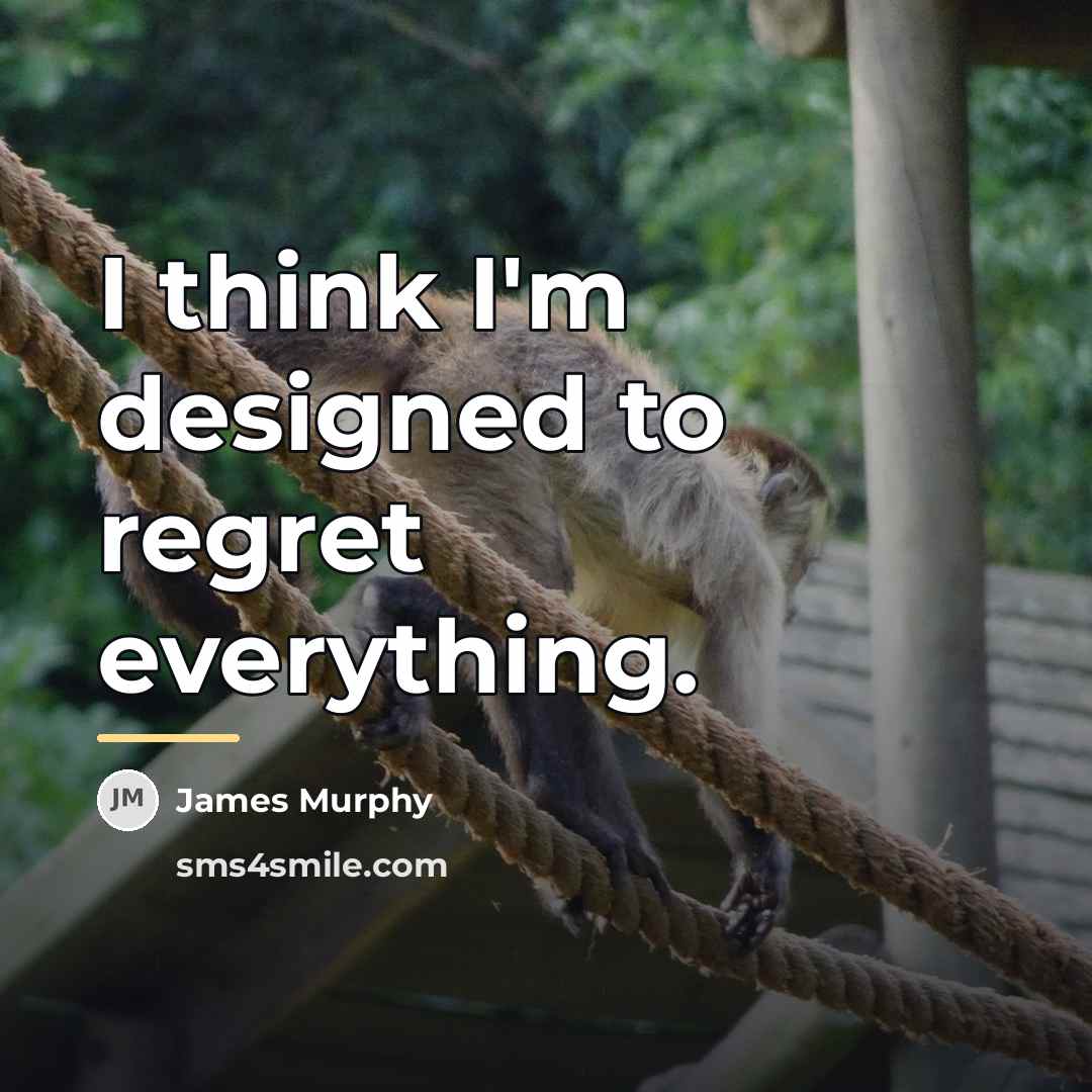 “I think I'm designed to regret everything.…” quote by James Murphy