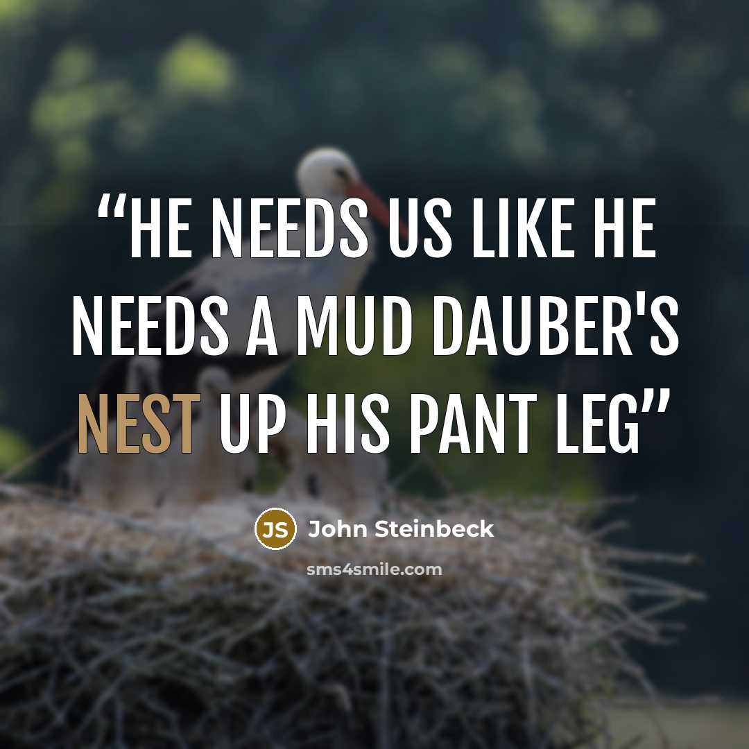“He needs us like he needs a mud dauber's nest up his pant leg” quote by John Steinbeck
