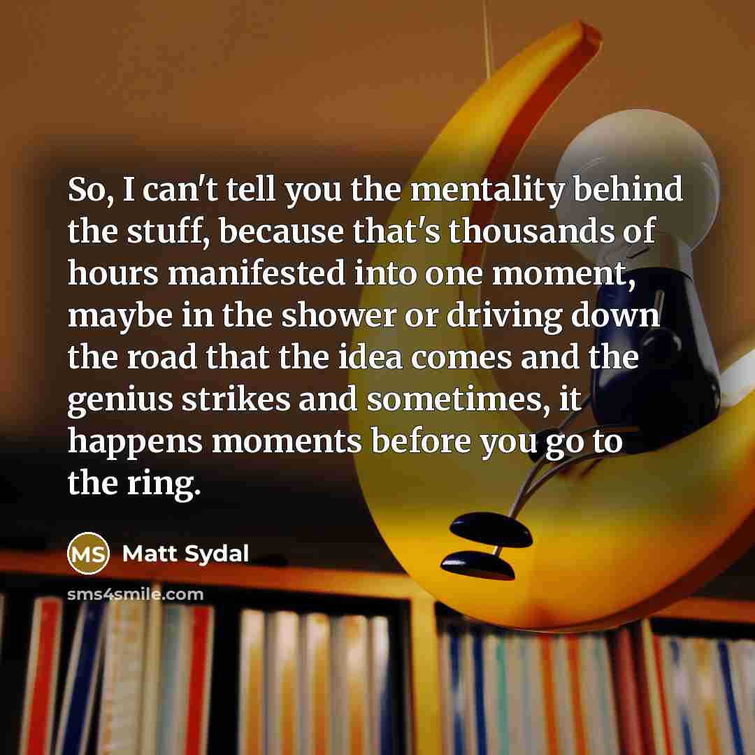 “So, I can't tell you the mentality behind the stuff,…” quote by Matt Sydal