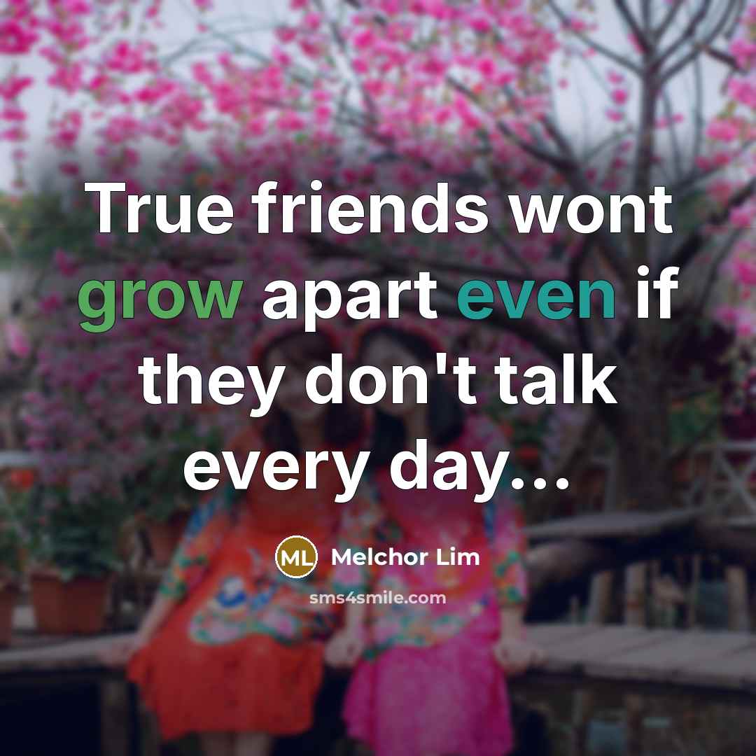 “True friends wont grow apart even if they don't talk…” quote by Melchor Lim