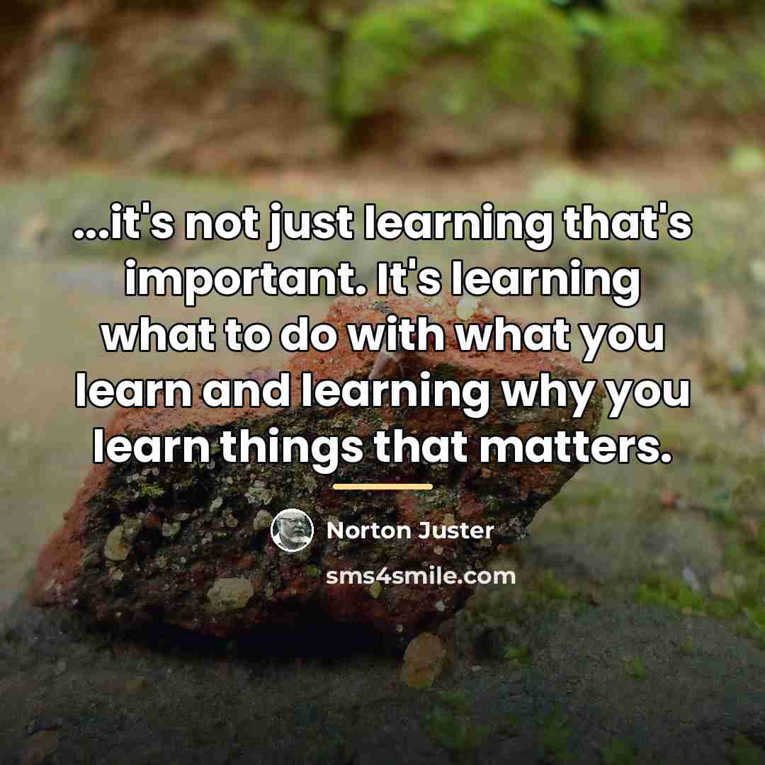 “...it's not just learning that's important. It's learning what to…” quote by Norton Juster