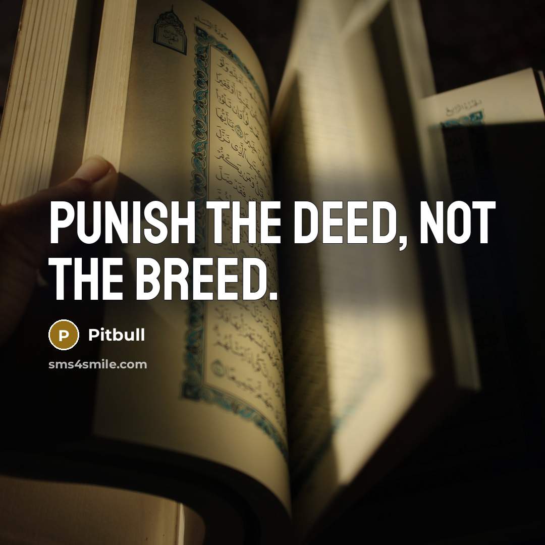 “Punish the deed, not the breed.…” quote by Pitbull