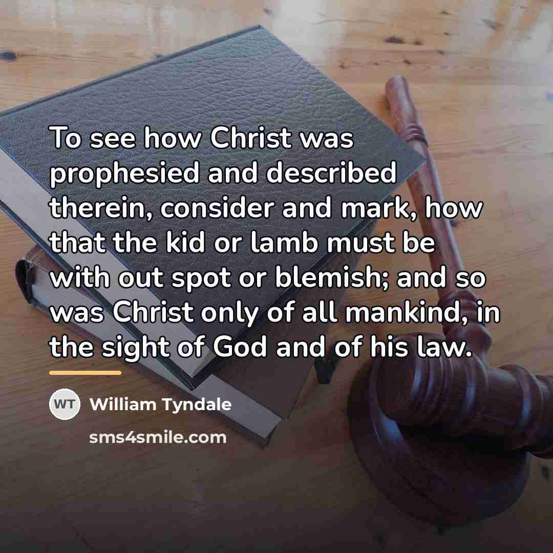 “To see how Christ was prophesied and described therein, consider…” quote by William Tyndale