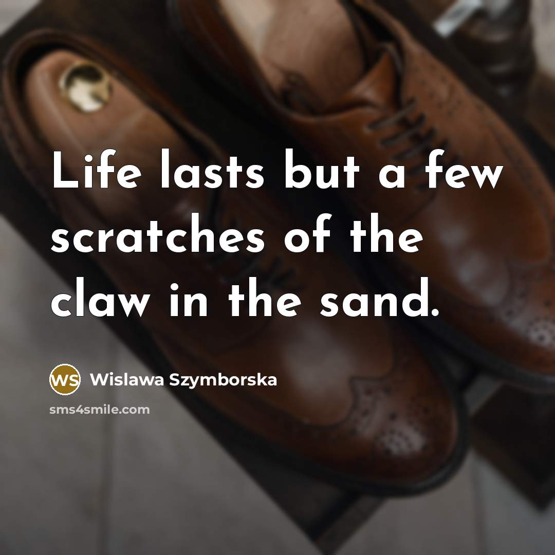 “Life lasts but a few scratches of the claw in…” quote by Wislawa Szymborska