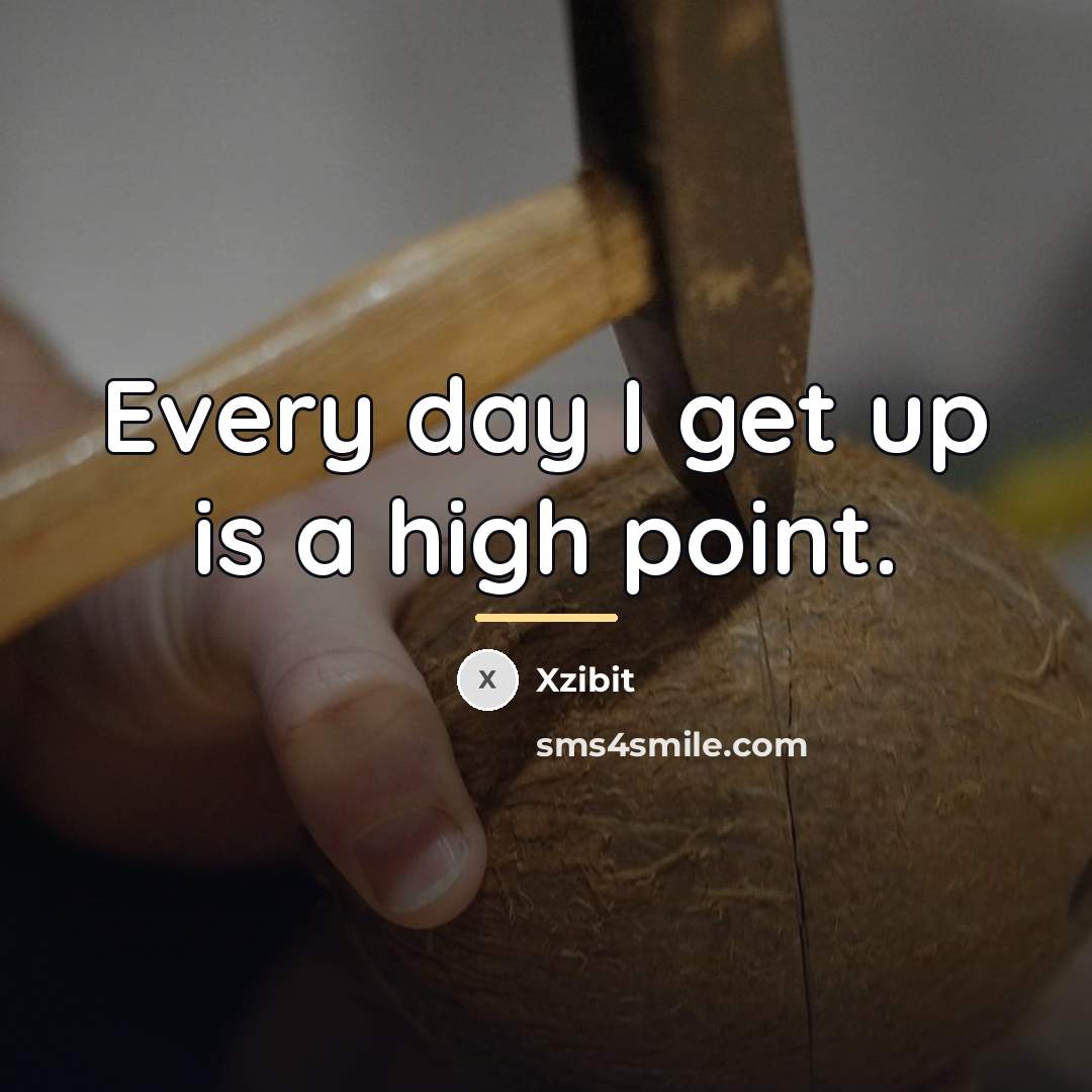 “Every day I get up is a high point.…” quote by Xzibit