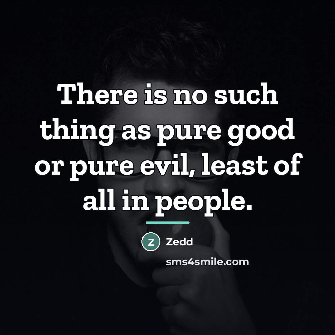 “There is no such thing as pure good or pure…” quote by Zedd