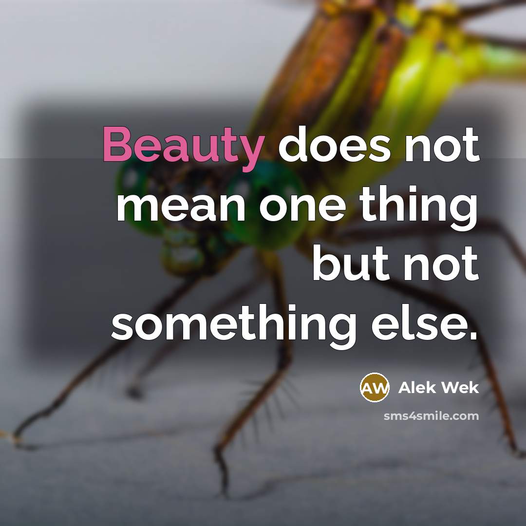 “Beauty does not mean one thing but not something else.…” quote by Alek Wek