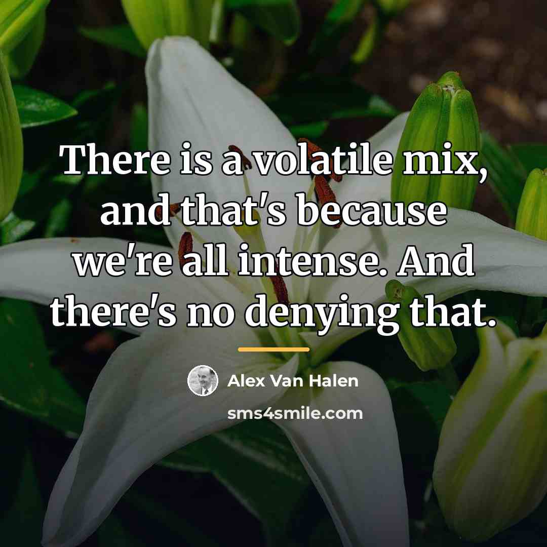 “There is a volatile mix, and that's because we're all…” quote by Alex Van Halen