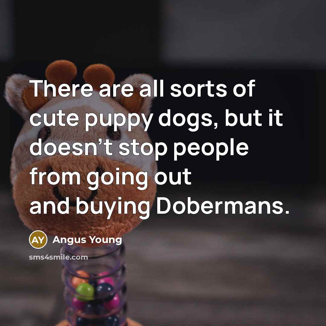 “There are all sorts of cute puppy dogs, but it…” quote by Angus Young
