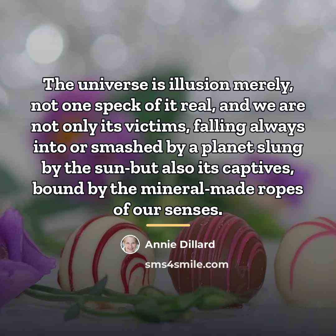 “The universe is illusion merely, not one speck of it…” quote by Annie Dillard