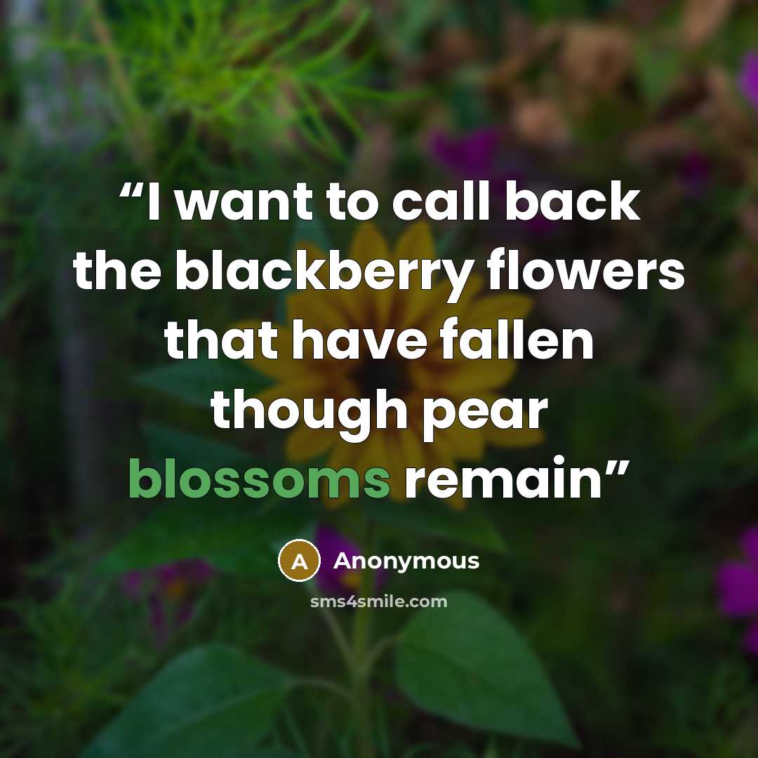 “I want to call back the blackberry flowers that have fallen though pear blossoms remain” quote by Anonymous