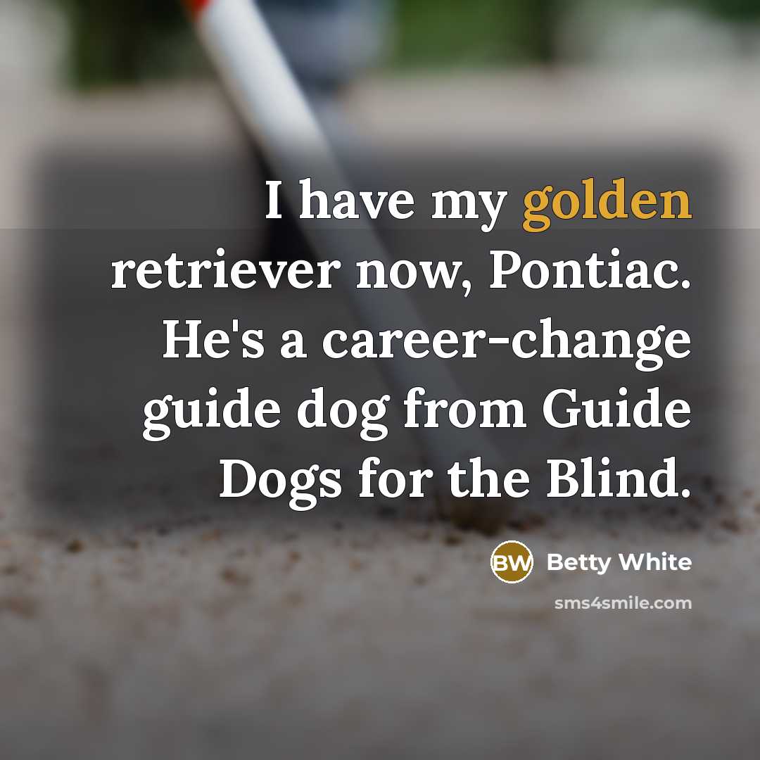 “I have my golden retriever now, Pontiac. He's a career-change…” quote by Betty White