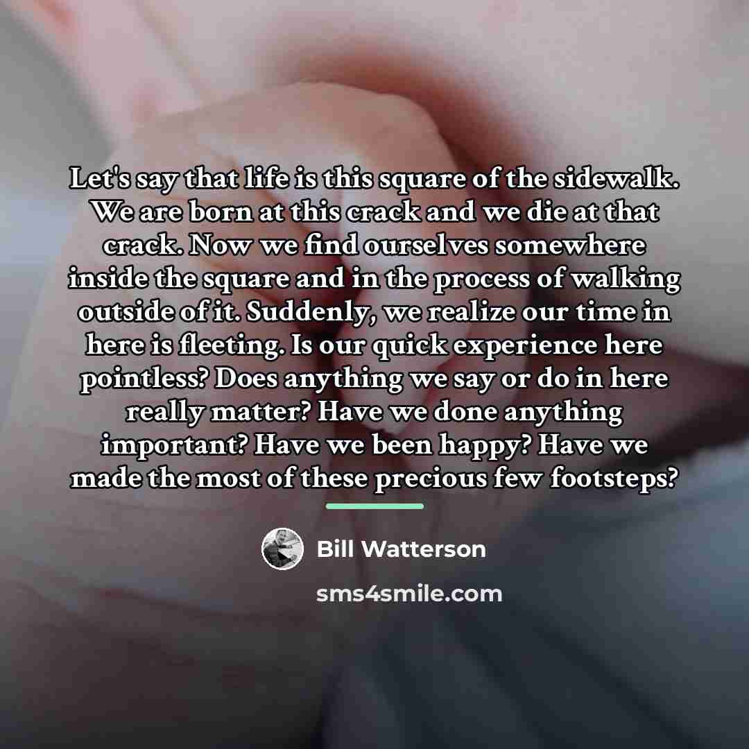 “Let's say that life is this square of the sidewalk.…” quote by Bill Watterson
