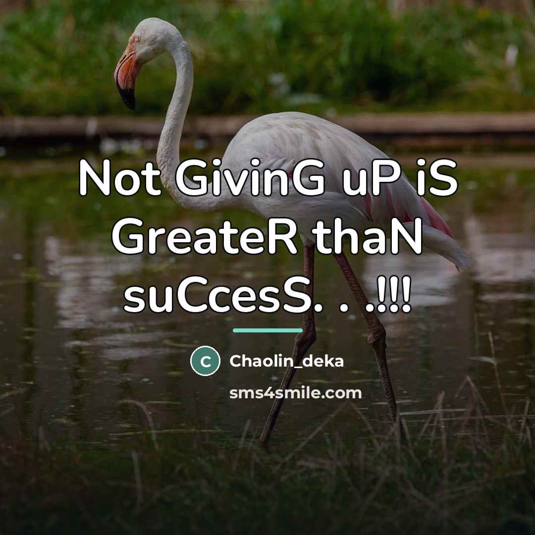 “Not GivinG uP iS GreateR thaN suCcesS. . .!!!…” quote by Anonymous