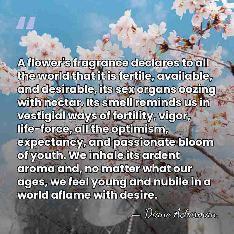 A flower's fragrance declares to all the world that it is fertile,&hellip; - Diane Ackerman