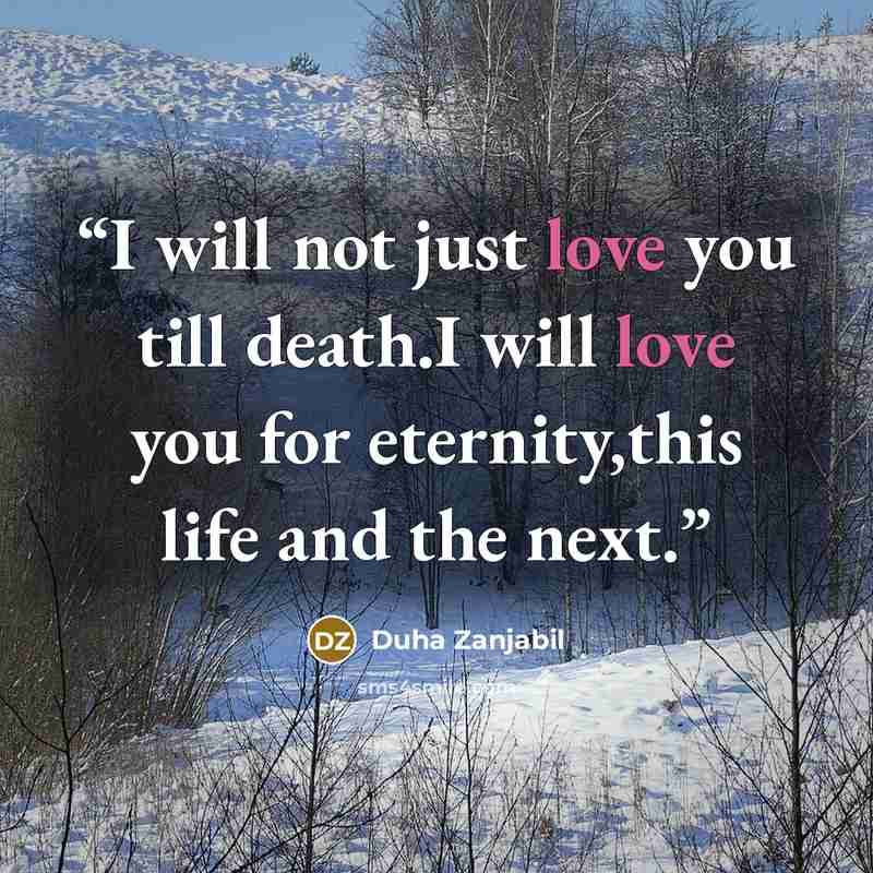 “I will not just love you till death.I will love you for eternity,this life and the next.” quote by Duha Zanjabil