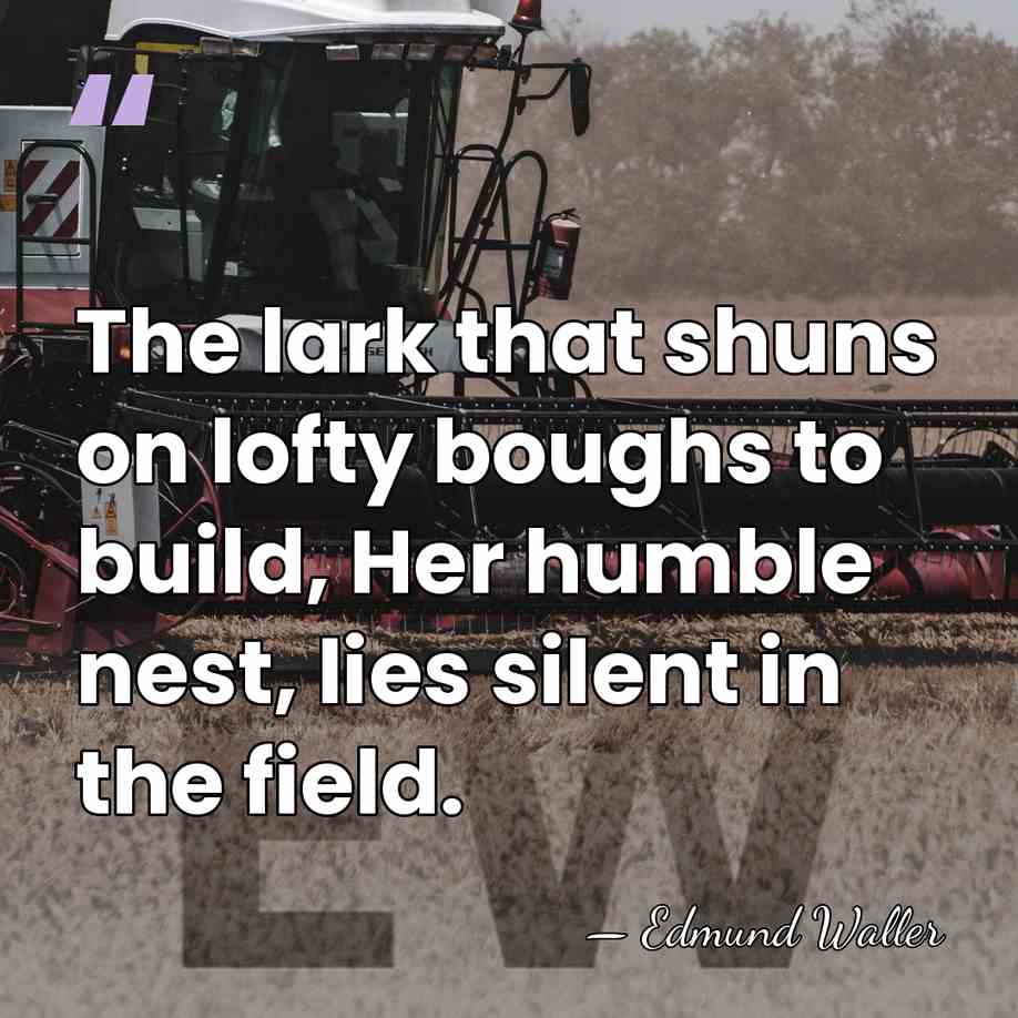 The lark that shuns on lofty boughs to build, Her humble nest,&hellip; - Edmund Waller