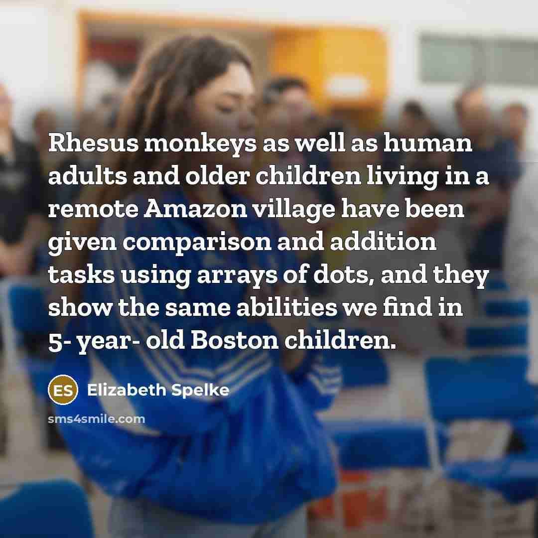 “Rhesus monkeys as well as human adults and older children…” quote by Elizabeth Spelke
