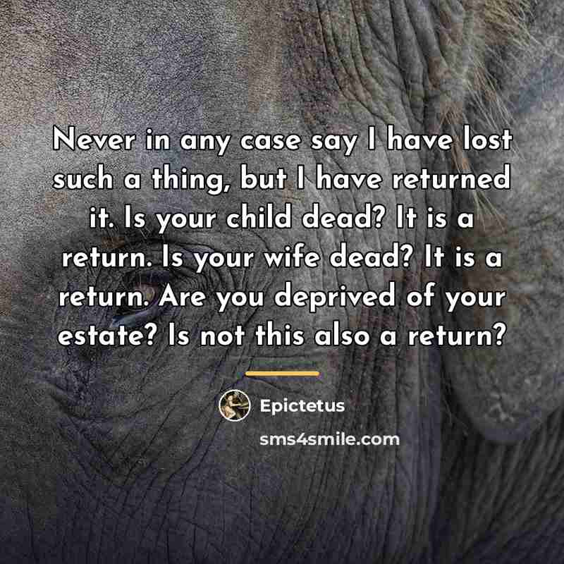 “Never in any case say I have lost such a…” quote by Epictetus