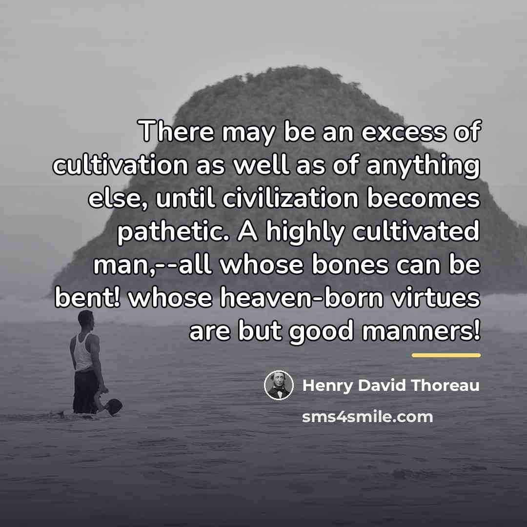 “There may be an excess of cultivation as well as…” quote by Henry David Thoreau