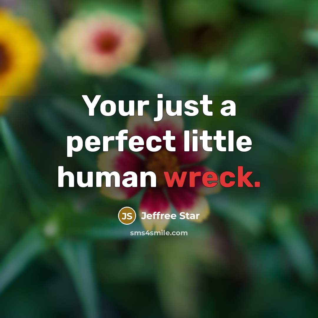 “Your just a perfect little human wreck.” quote by Jeffree Star