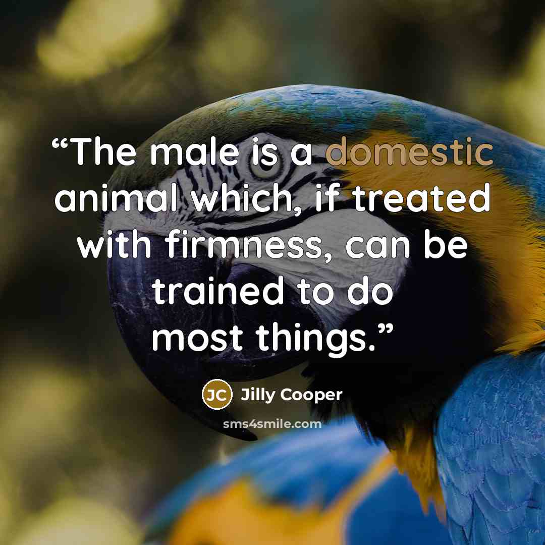 “The male is a domestic animal which, if treated with firmness, can be trained to do most things.” quote by Jilly Cooper