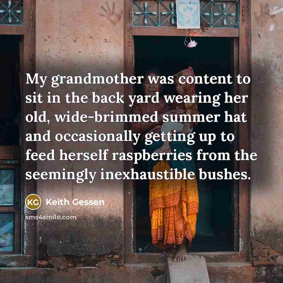 “My grandmother was content to sit in the back yard…” quote by Keith Gessen