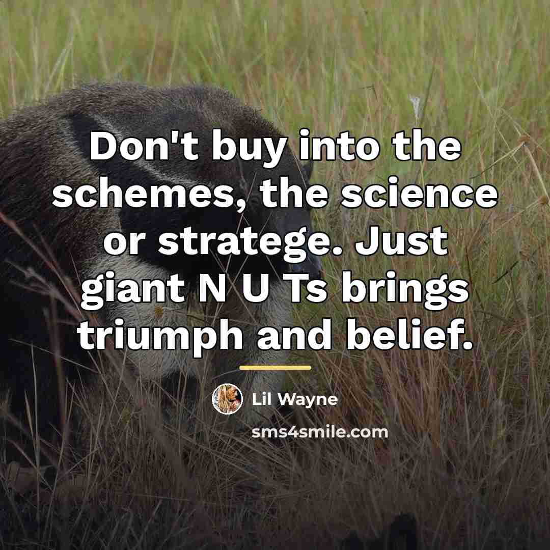 “Don't buy into the schemes, the science or stratege. Just…” quote by Lil Wayne
