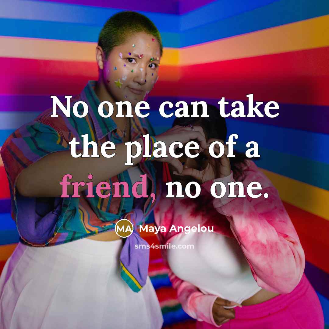 “No one can take the place of a friend, no one.” quote by Maya Angelou