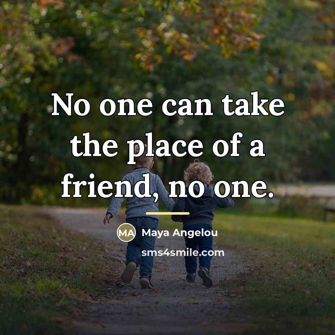 “No one can take the place of a friend, no…” quote by Maya Angelou