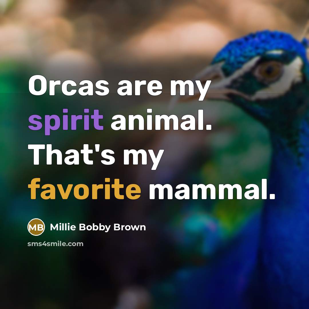“Orcas are my spirit animal. That's my favorite mammal.…” quote by Millie Bobby Brown
