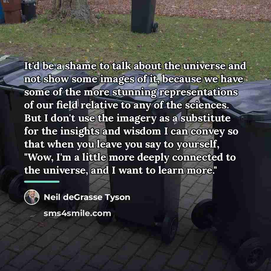“It'd be a shame to talk about the universe and…” quote by Neil deGrasse Tyson