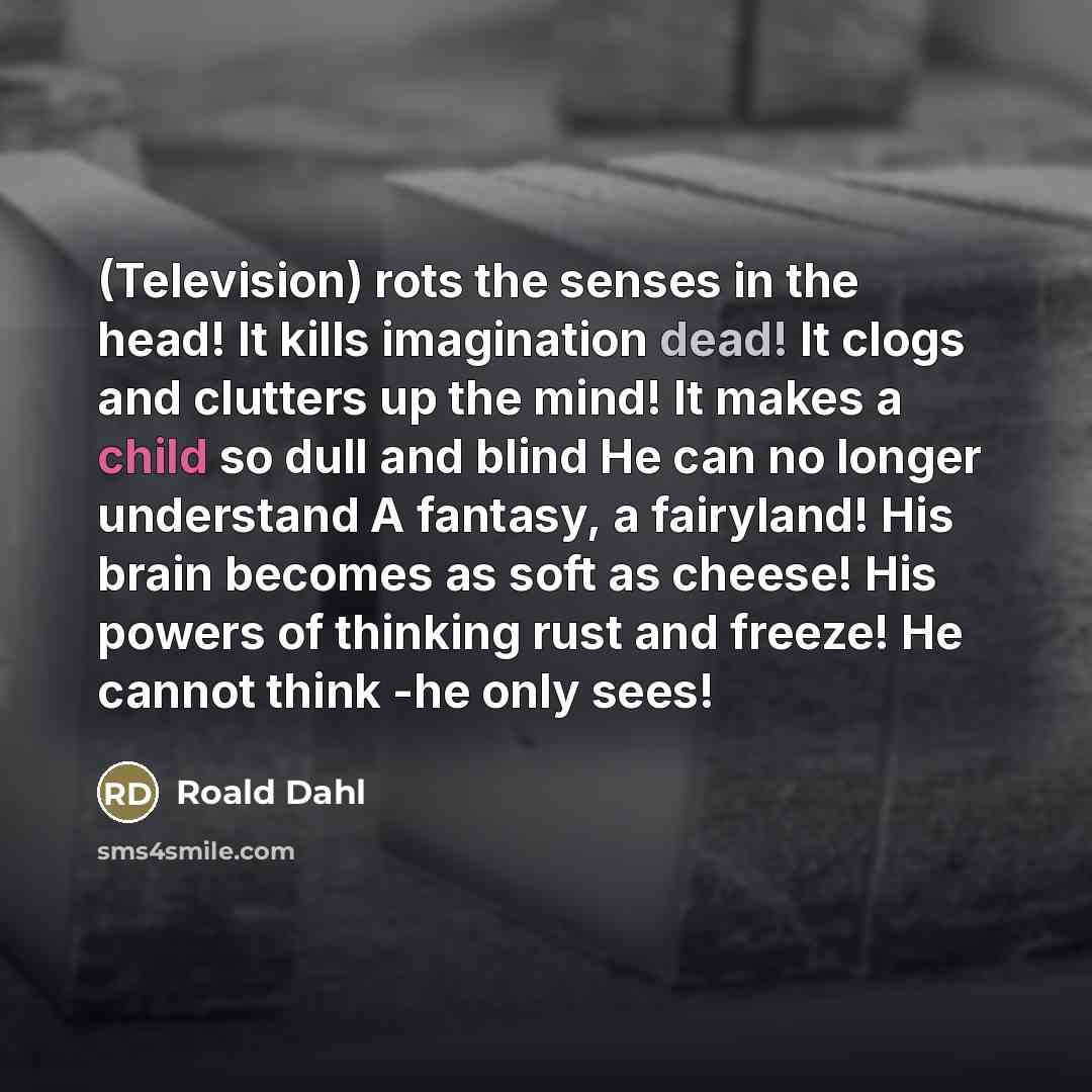 “(Television) rots the senses in the head! It kills imagination…” quote by Roald Dahl