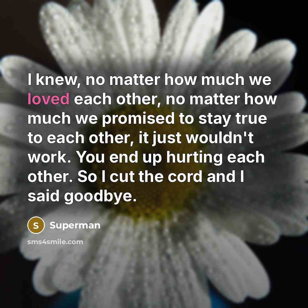 “I knew, no matter how much we loved each other,…” quote by Superman