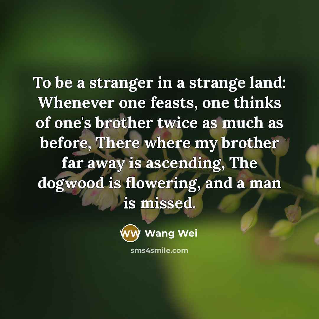 “To be a stranger in a strange land: Whenever one…” quote by Wang Wei