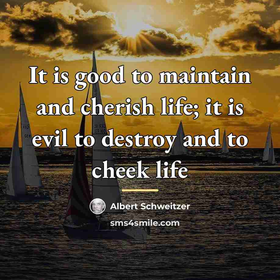 “It is good to maintain and cherish life; it is…” quote by Albert Schweitzer