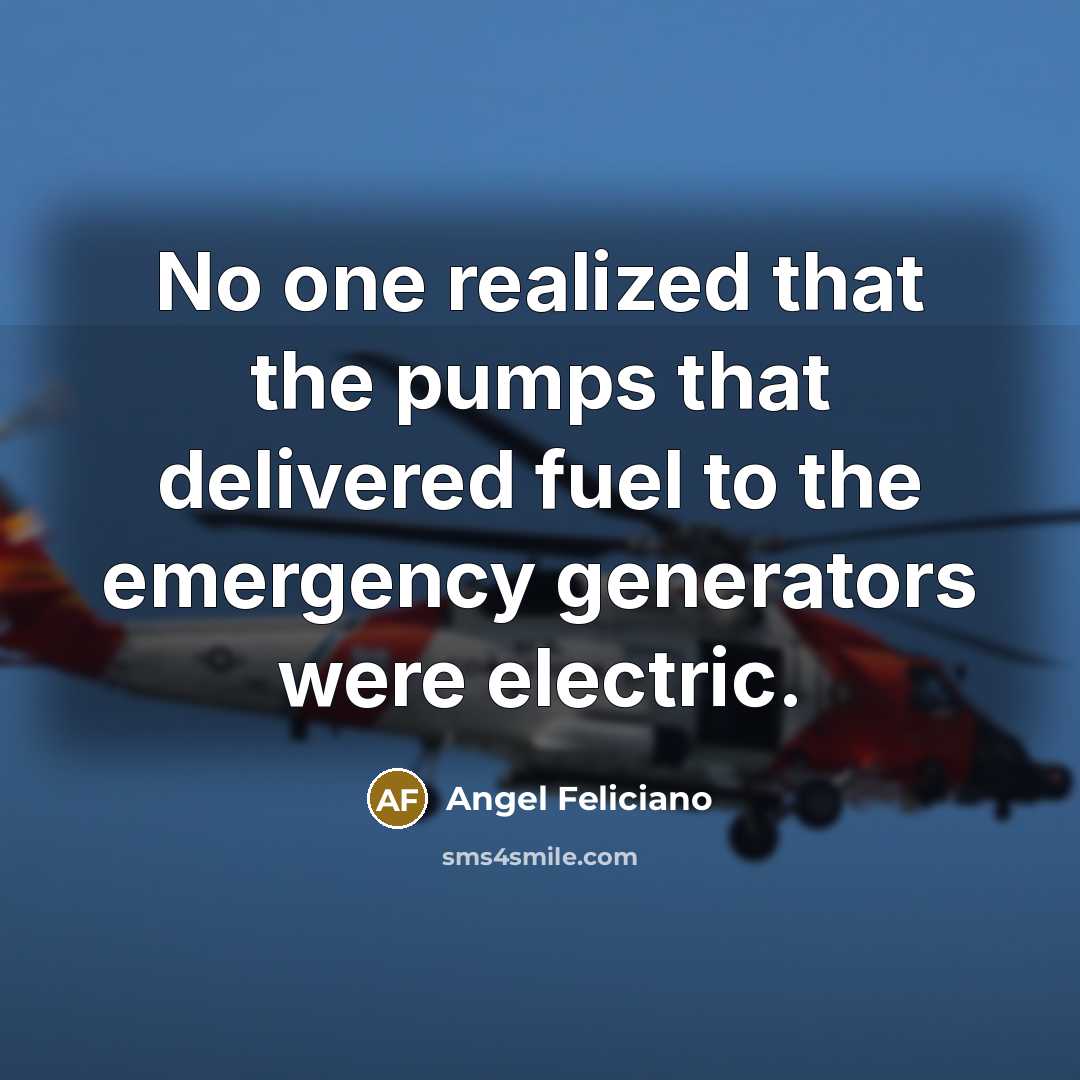 “No one realized that the pumps that delivered fuel to the emergency generators were electric.” quote by Angel Feliciano