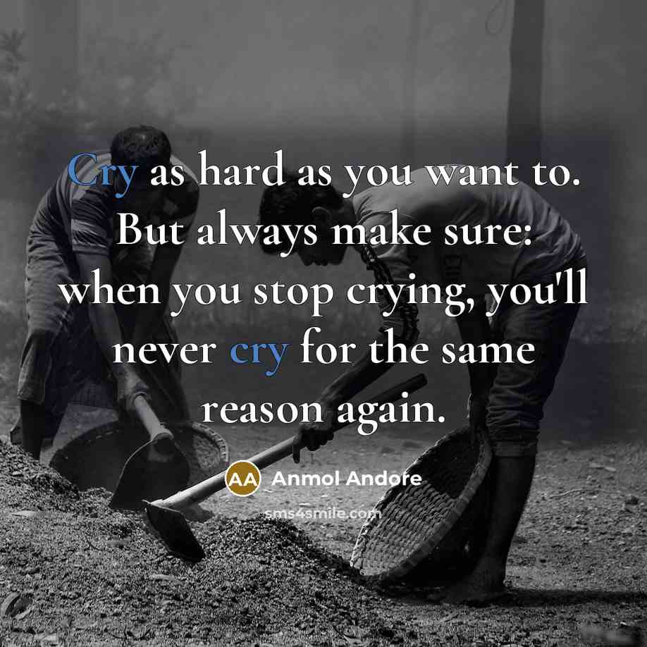 “Cry as hard as you want to. But always make…” quote by Anmol Andore
