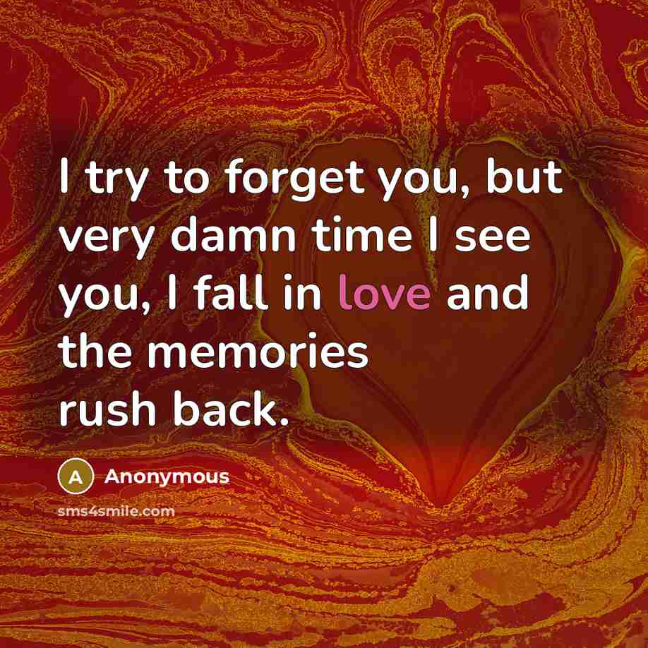 “I try to forget you, but very damn time I see you, I fall in love and the memories rush back.” quote by Anonymous