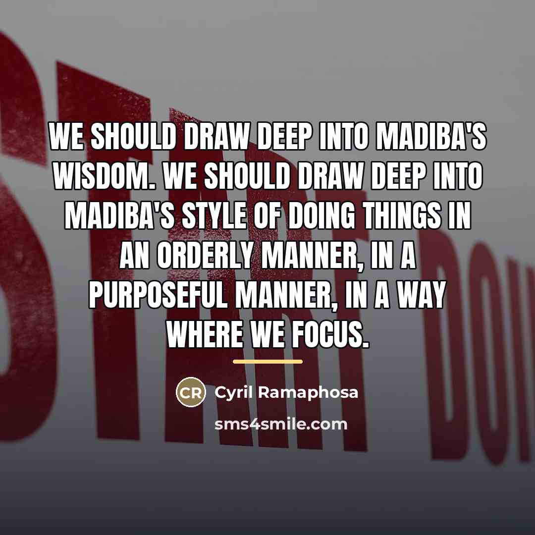 “We should draw deep into Madiba's wisdom. We should draw…” quote by Cyril Ramaphosa
