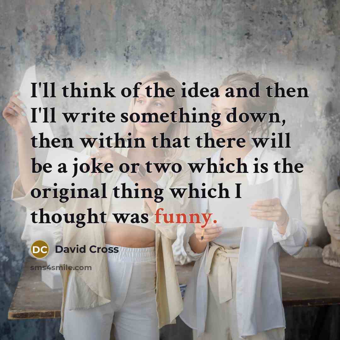 “I'll think of the idea and then I'll write something…” quote by David Cross