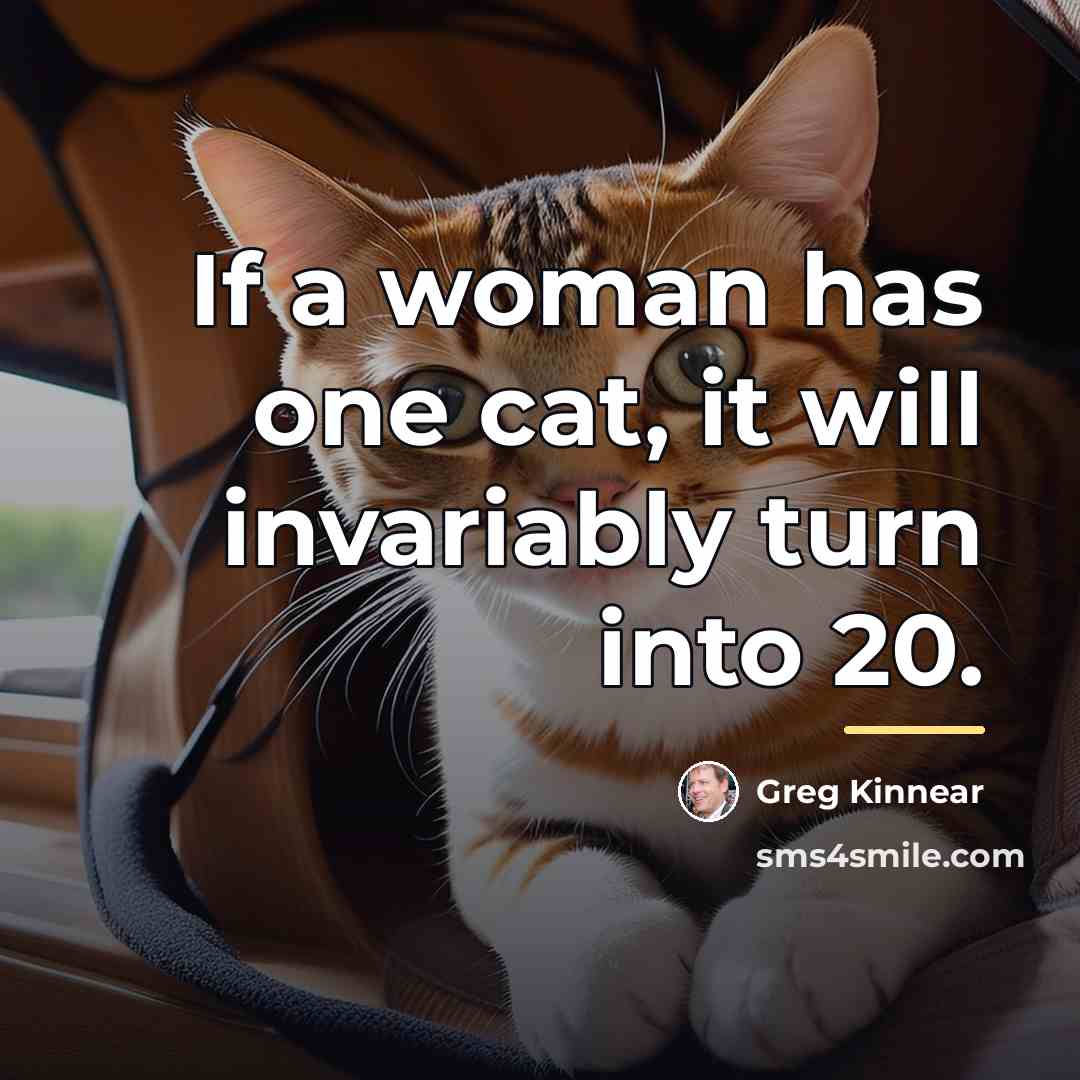 “If a woman has one cat, it will invariably turn…” quote by Greg Kinnear